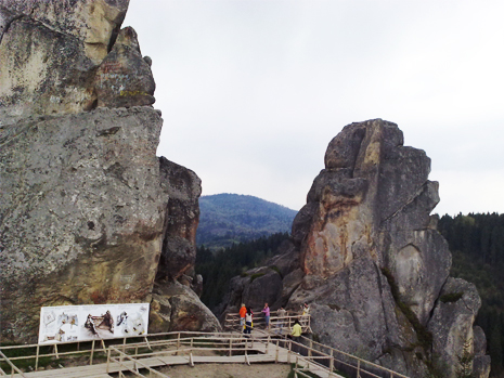 Скелі