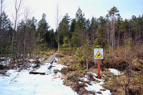 Болотні стежки Естонії. Частина 5. Болото Селісоо (Selisoo)