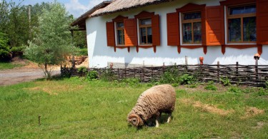 Диканька
